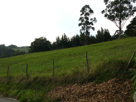 Terrenos