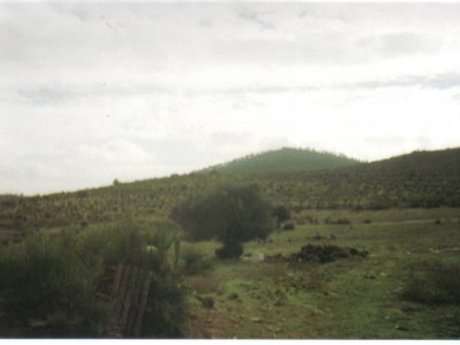 Viviendas