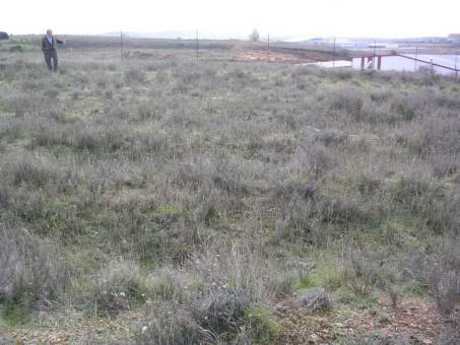 Terrenos