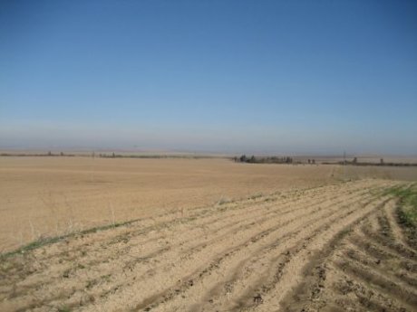Viviendas