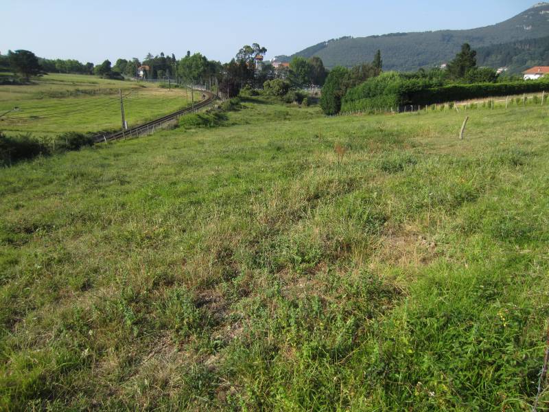 Terrenos