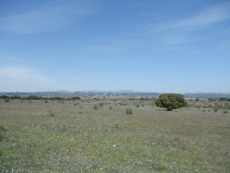 Terrenos